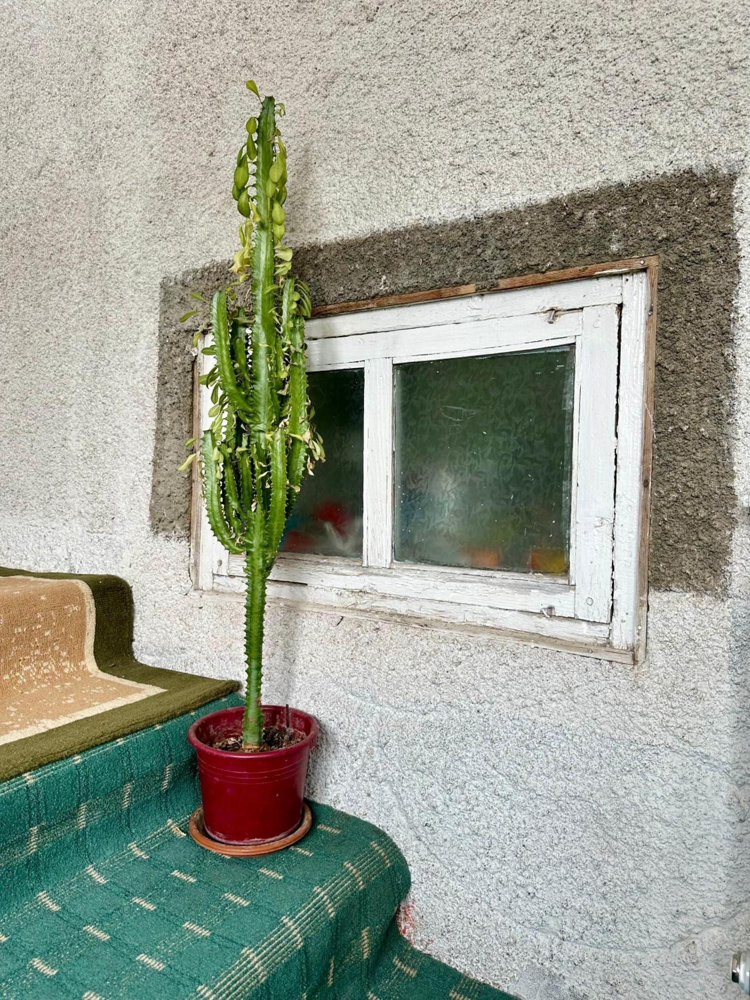 Kayyr Guest House Orgochor Εξωτερικό φωτογραφία